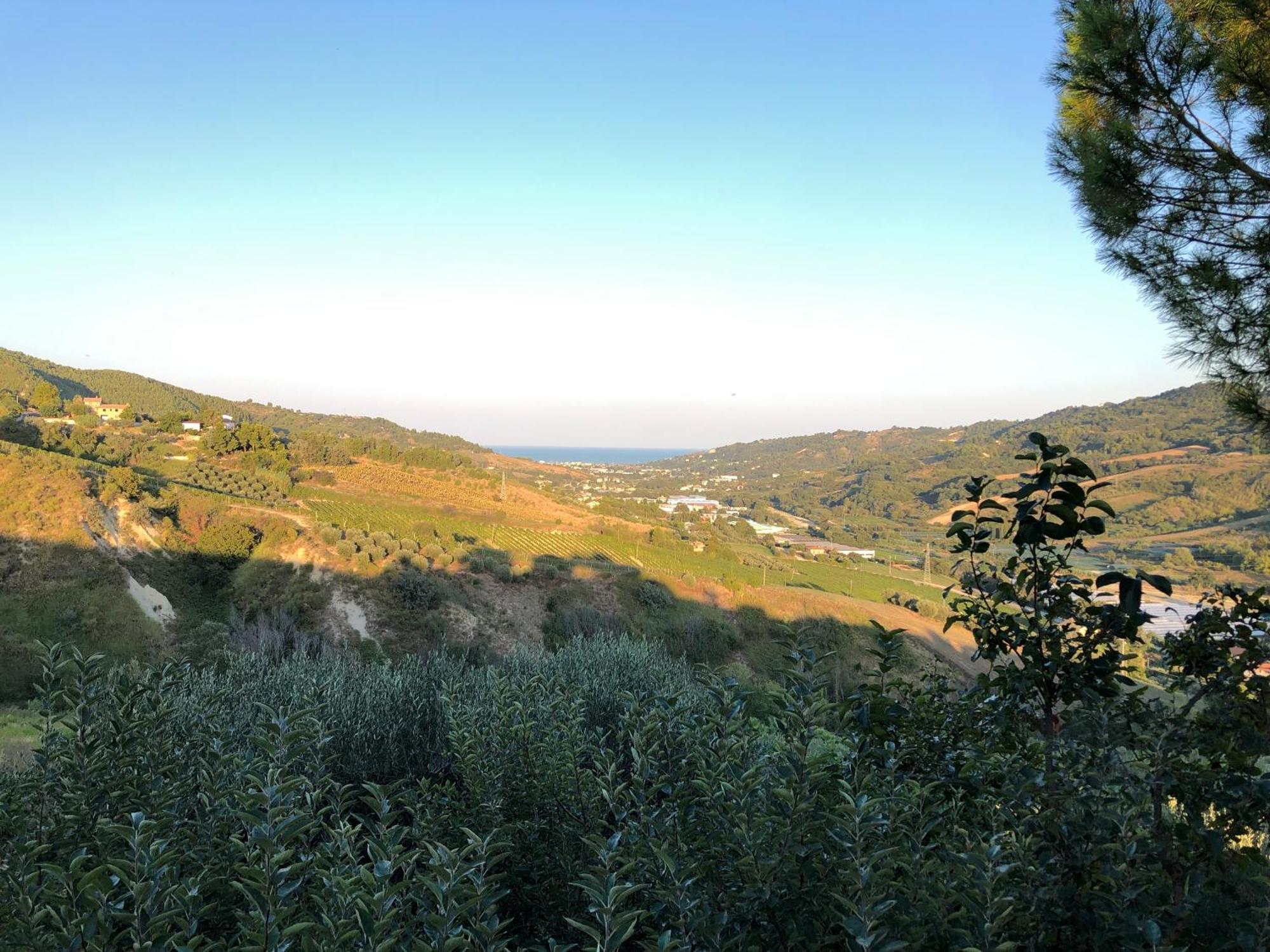 Casa Vacanze Cristina - Holiday House Apartment Ripatransone Exterior foto